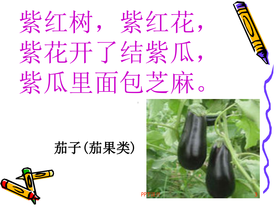 走进蔬菜王国课件.ppt_第3页