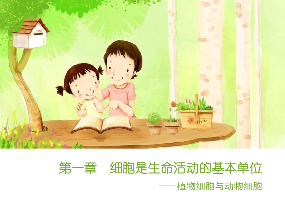 植物细胞和动物细胞课件.ppt_第1页