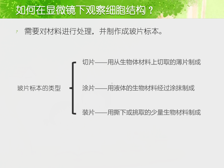 植物细胞和动物细胞课件.ppt_第2页