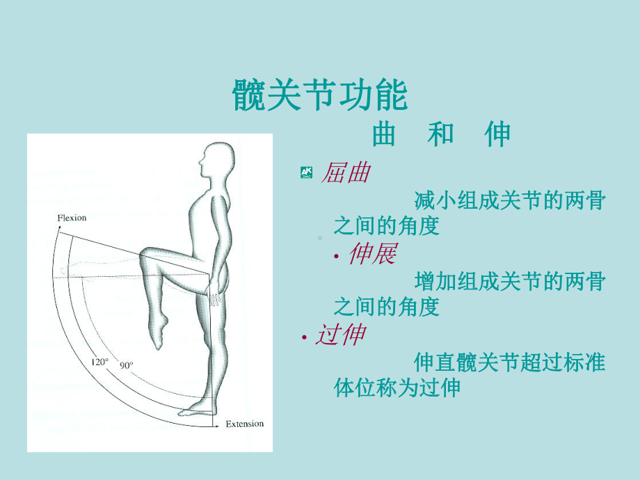 髋关节生物力学课件.ppt_第2页