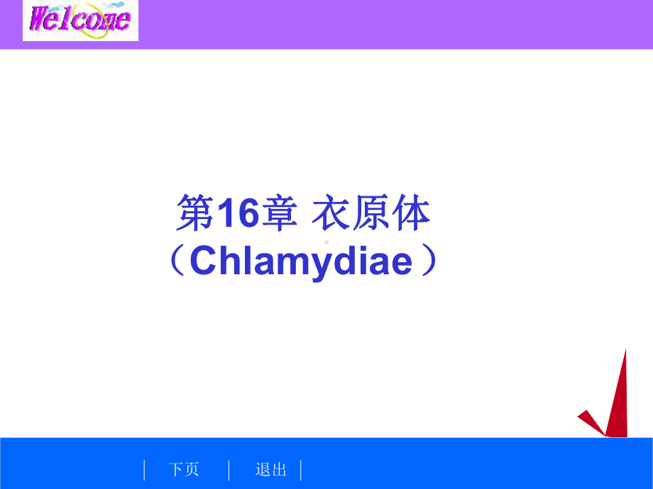 细菌学检验-衣原体课件.ppt_第1页