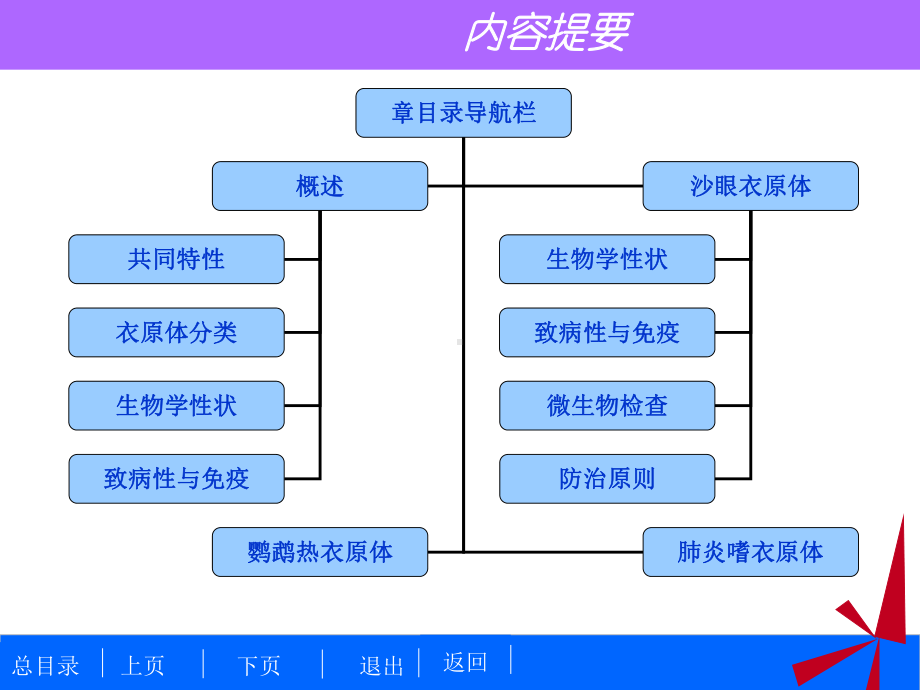 细菌学检验-衣原体课件.ppt_第2页