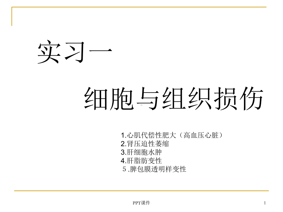 病理学大体标本课件.ppt_第1页