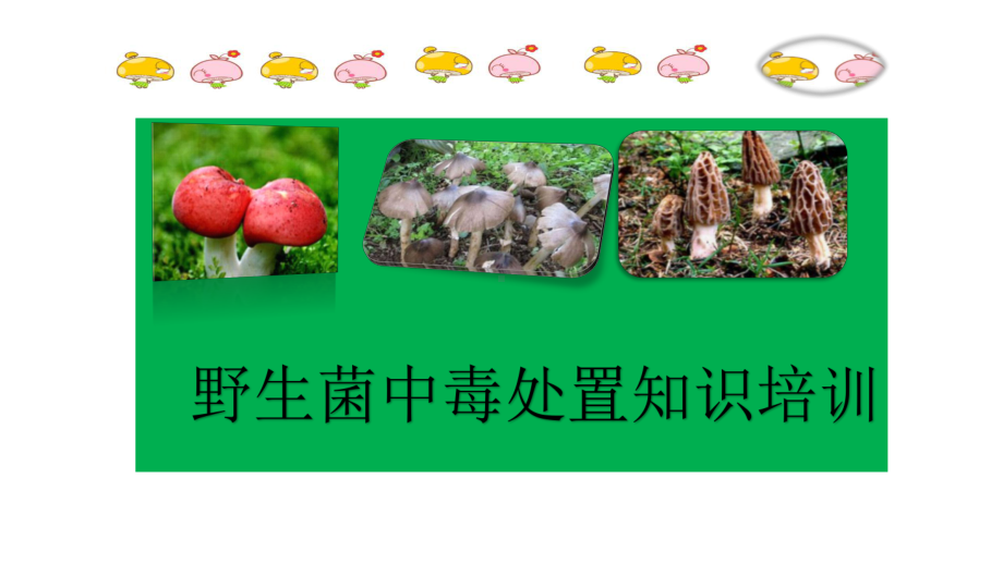 野生菌中毒处置知识培训课件.pptx_第1页