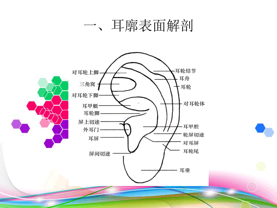 耳穴压豆学习资料(精选)课件.ppt_第3页