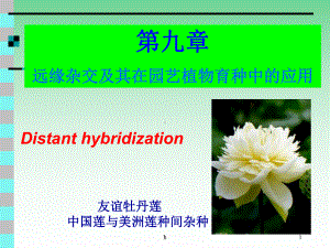 远缘杂交及其在园艺植物育种中的应用课件.ppt