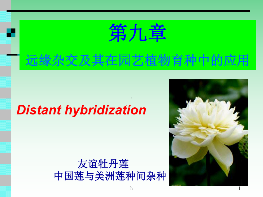 远缘杂交及其在园艺植物育种中的应用课件.ppt_第1页