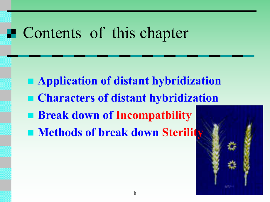 远缘杂交及其在园艺植物育种中的应用课件.ppt_第2页