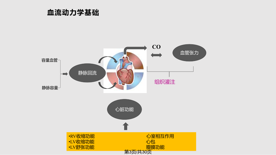 休克的分类及诊疗思路课件.pptx_第3页