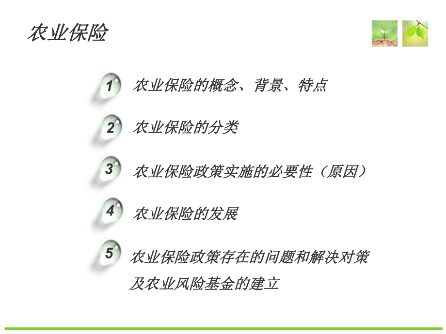 农业保险讲解汇总课件.ppt_第2页