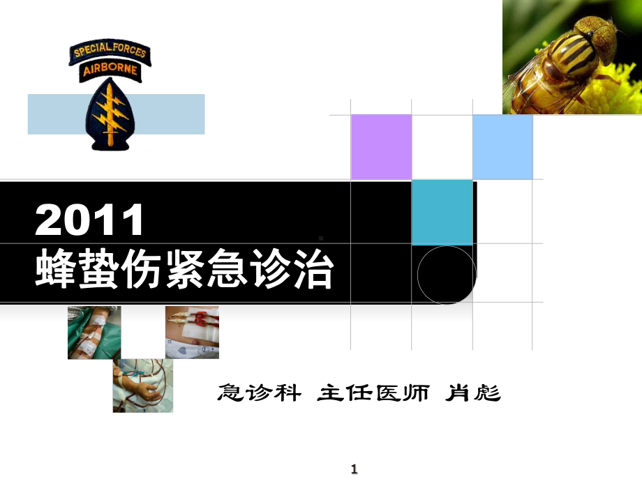 蜂蛰伤急救课件.ppt_第1页