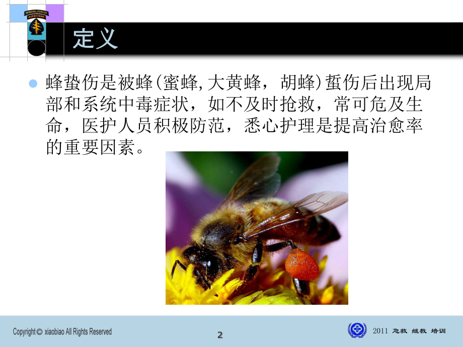 蜂蛰伤急救课件.ppt_第2页