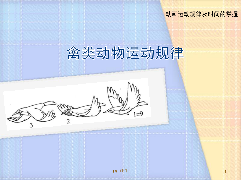 禽类动物运动规律课件.ppt_第1页