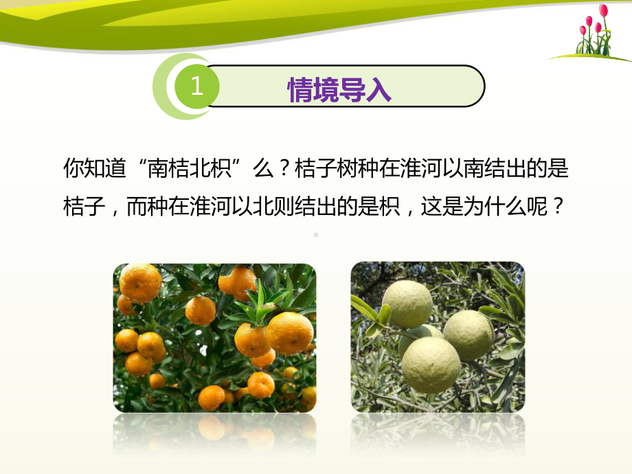 北师大版七年级生物上册生物与环境的相互影响课件.pptx_第2页