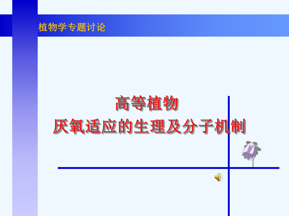 高等植物厌氧适应的生理及分子机制课件.ppt_第1页