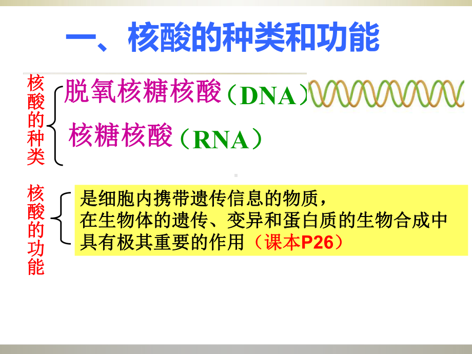 核酸一轮复习用课件.ppt_第3页