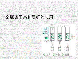 金属离子螯合层析演示教学课件.ppt