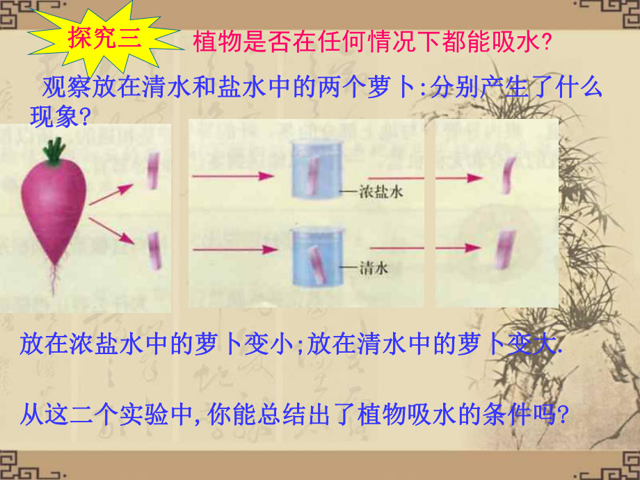 八年级科学课件植物细胞的吸水和失水.ppt_第3页