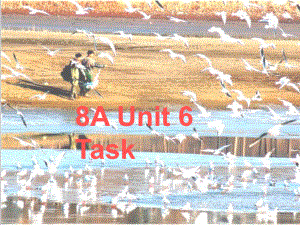 八年级英语上册《Unit-6-Bird-watching-Task》课件3-(新版)牛津版.ppt（纯ppt,不包含音视频素材）