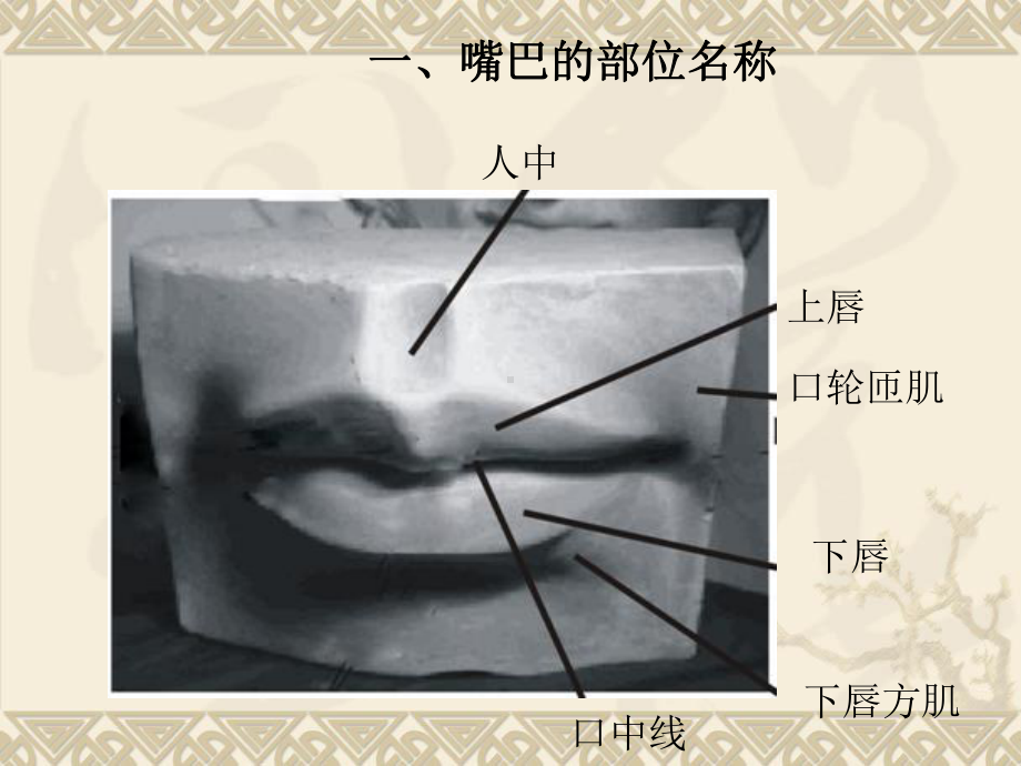 五官嘴巴详解课件.pptx_第3页