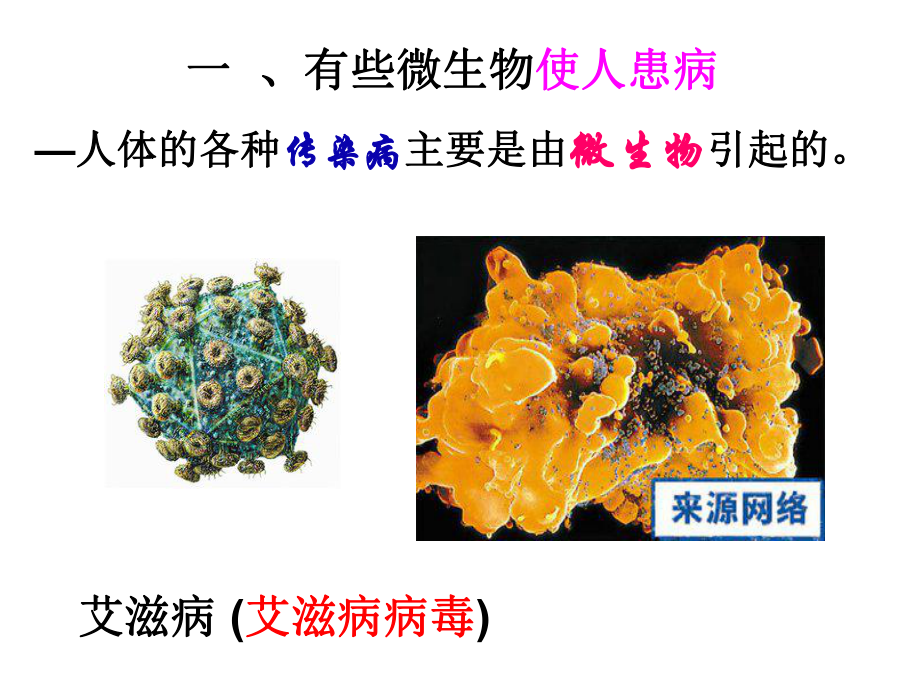 微生物与人类的关系教学课件25.ppt_第2页