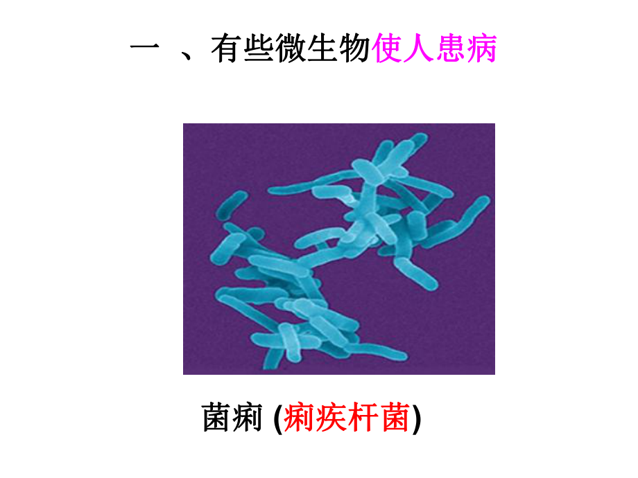 微生物与人类的关系教学课件25.ppt_第3页