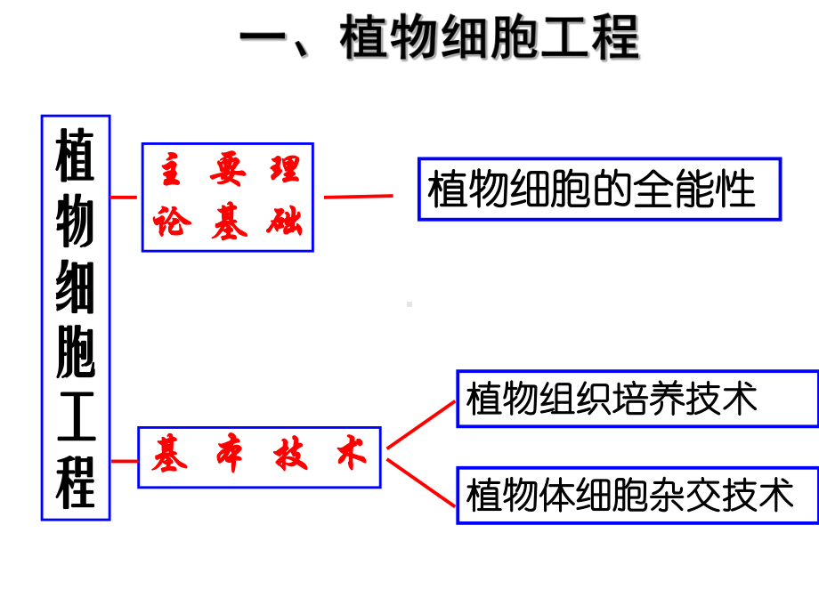 细胞工程课件.ppt_第3页