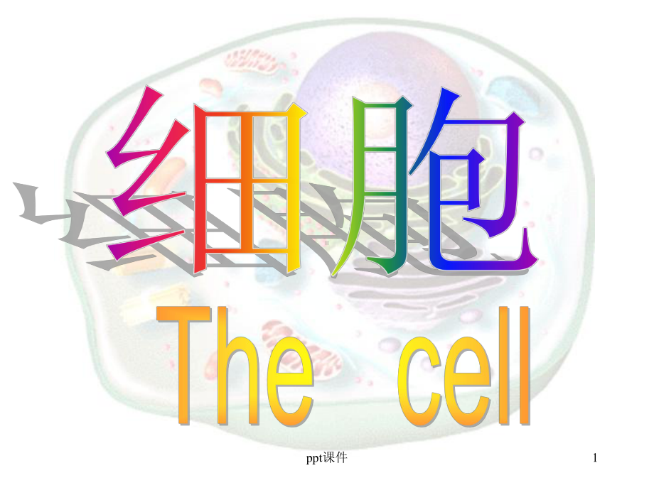 基础医学概论-细胞课件.ppt_第1页