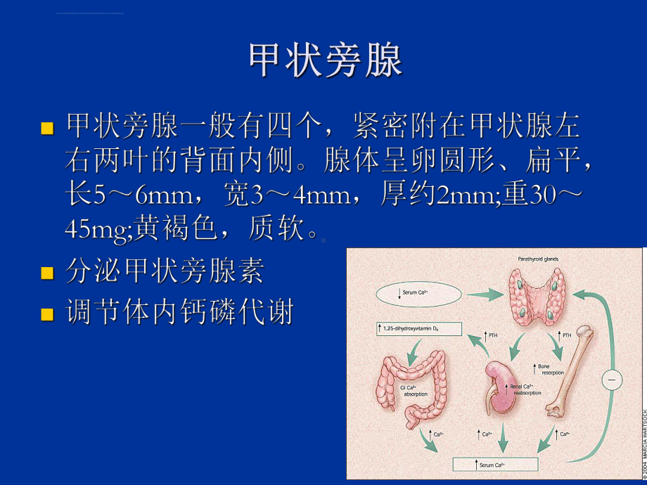 甲状旁腺功能亢进症最新课件.ppt_第2页