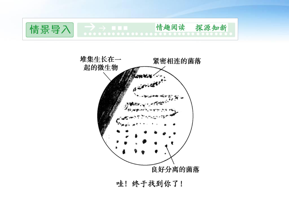 微生物的分离和纯培养课件.ppt_第2页