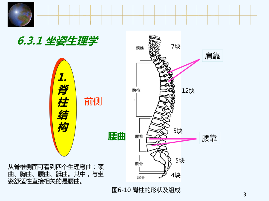 第6章-工作台椅与手握工具设计2-安全人机工程学课件.ppt_第3页