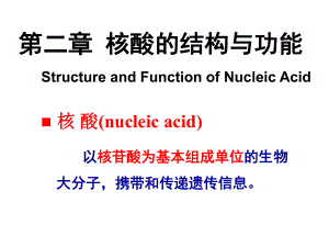 大学课程生物化学核酸的结构与功能课件.ppt