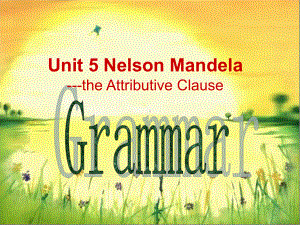 人教版高一英语unit5-Nelson-Mandela-a-modern-hero-Grammar定语从句课件.ppt（纯ppt,不包含音视频素材）