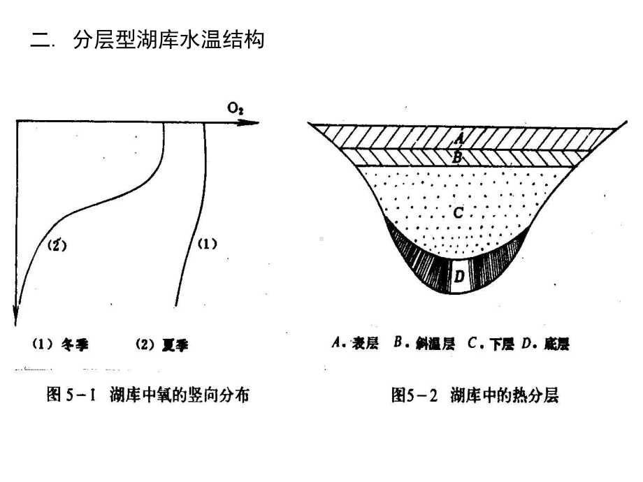 第五章-湖库水质模型课件.ppt_第3页