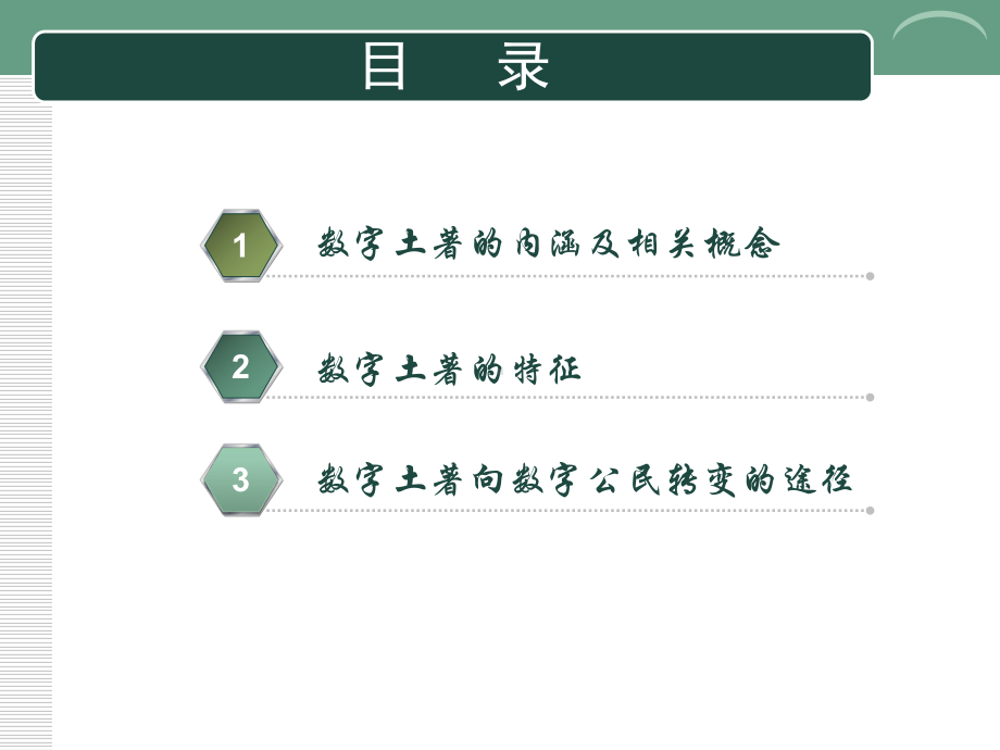 数字土著课件.ppt_第3页