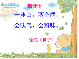 鼻子的秘密课件.ppt