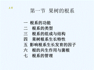 第三章-果树器官的生长发育—根系课件.ppt