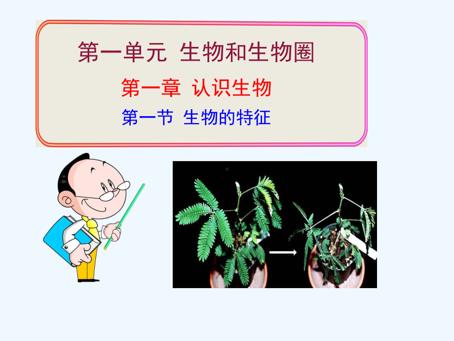 第一节生物的特征课件新人教版.ppt_第1页