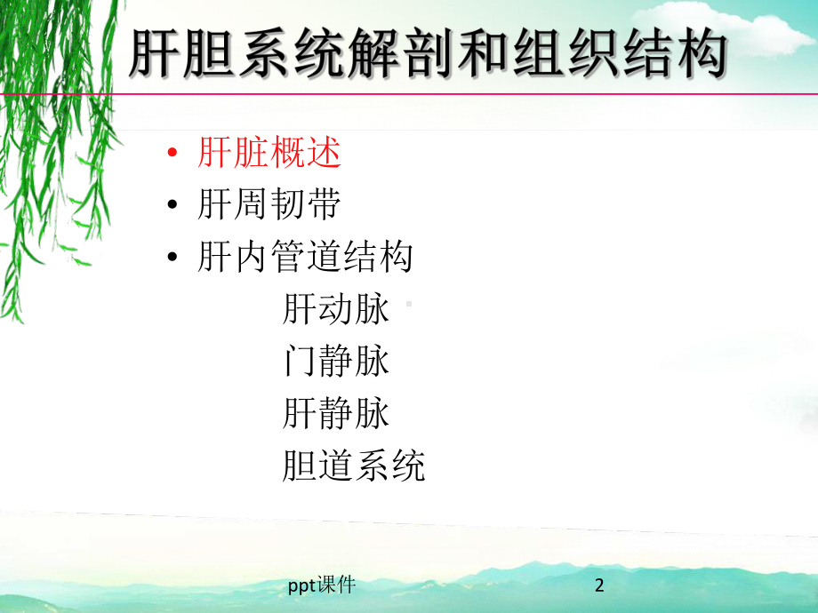 肝胆系统解剖课件.ppt_第2页