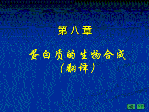 蛋白质的生物合成翻译-生物化学与分子生物学课件.ppt