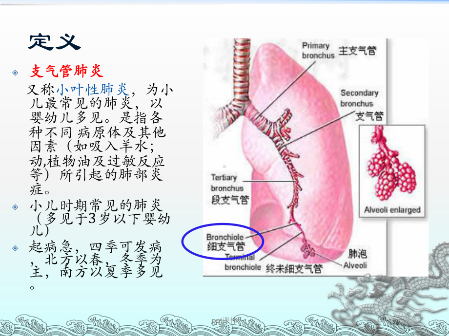 小儿支气管肺炎课件-002.ppt_第2页