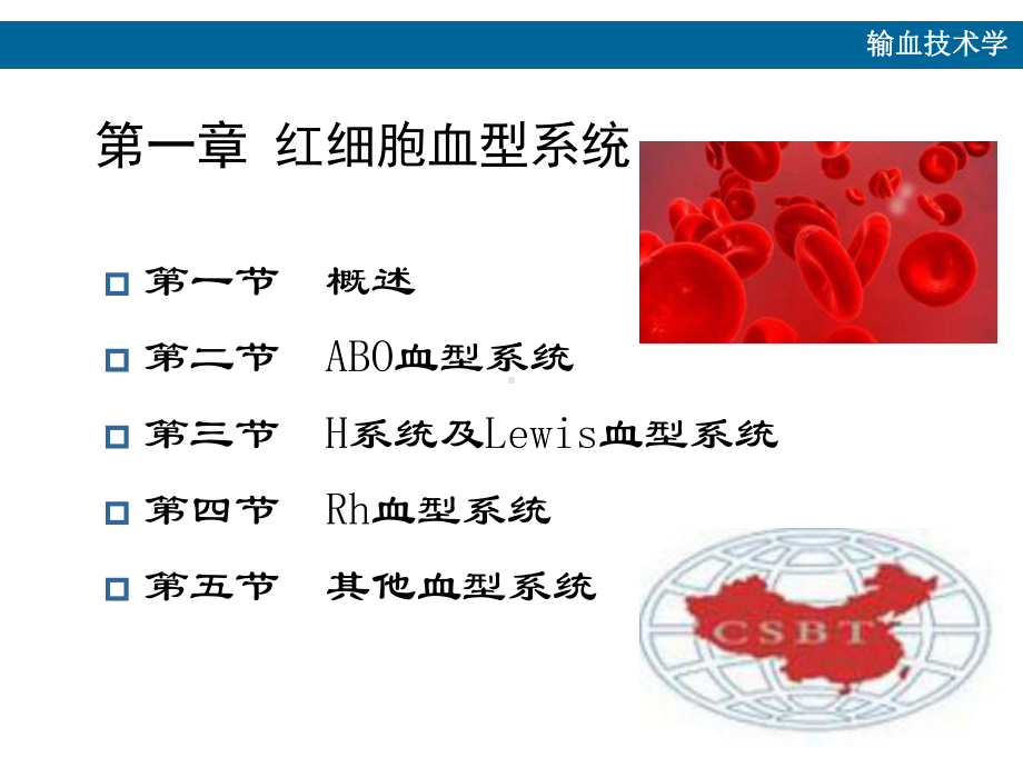 第一章1-1-红细胞血型系统-概述课件.ppt_第2页