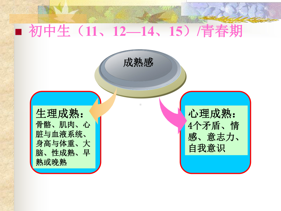 初中生发展特点课件.ppt_第2页