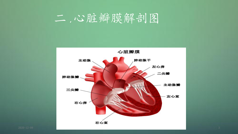 心脏瓣膜病的围术期护理(课件).ppt_第3页