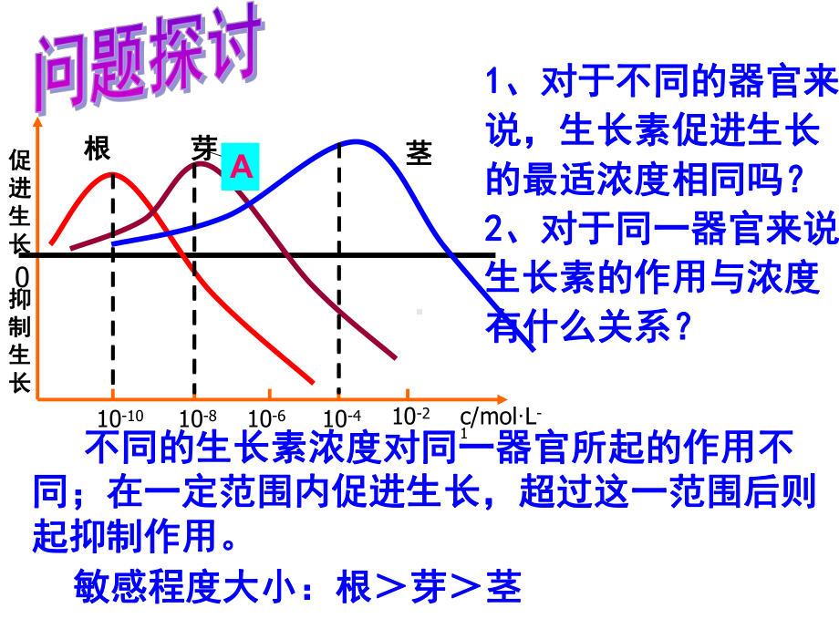 侧芽里的生长素-南安三中课件.ppt_第2页