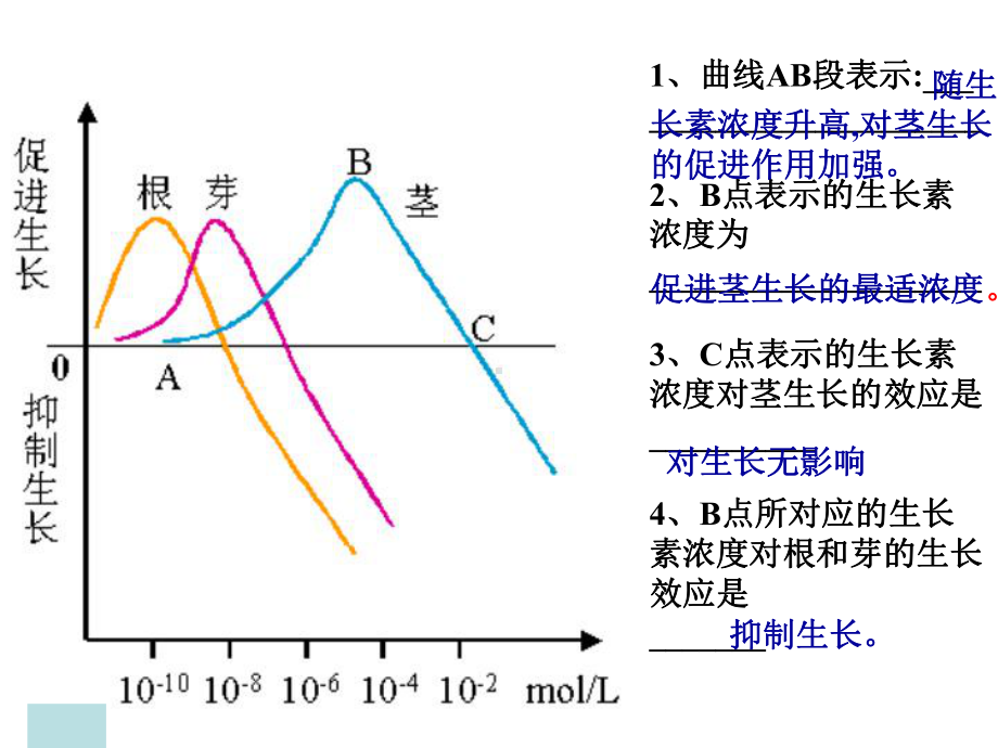 侧芽里的生长素-南安三中课件.ppt_第3页