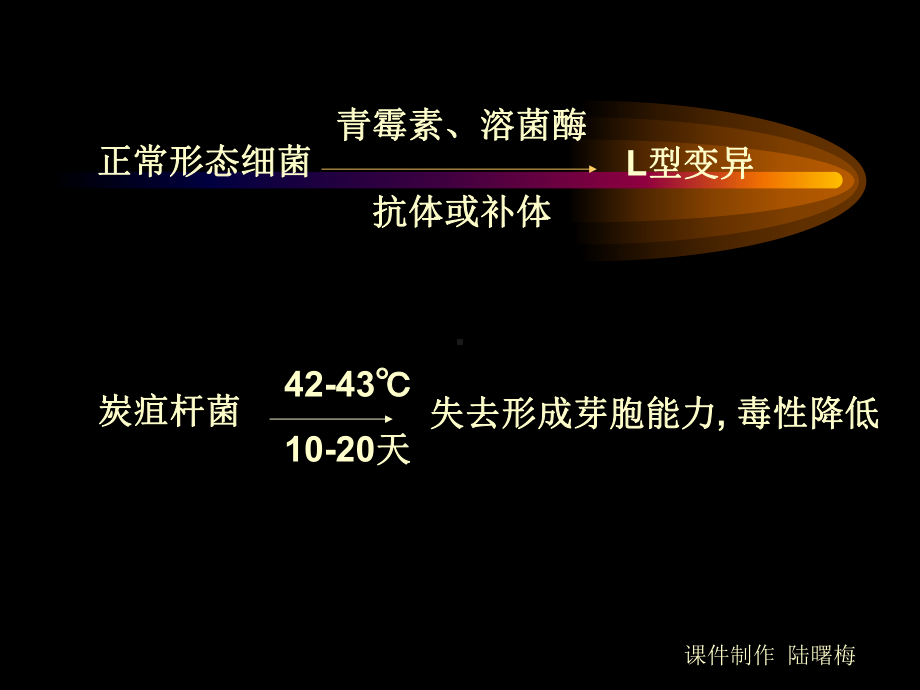 细菌遗传变异类型遗传型变异课件.ppt_第3页