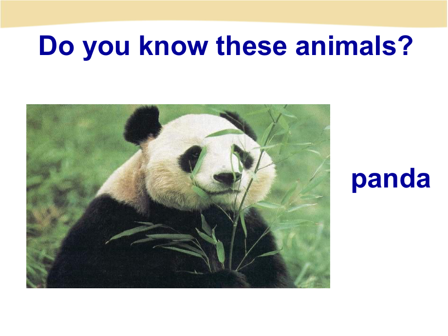 人教版七年级英语下unit-5-Why-do-you-like-pandas？Section-A优质课课件34页.ppt（纯ppt,不包含音视频素材）_第2页