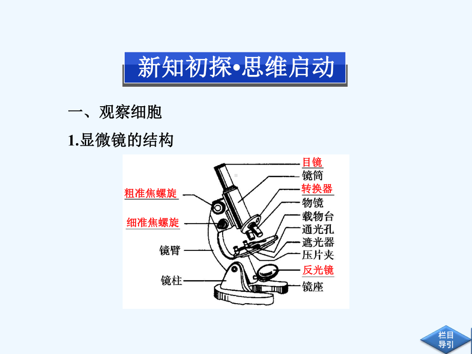 人民教育版高中生物必修1同步教学课件-第一章第2节细胞的多样性和统一性.ppt_第3页