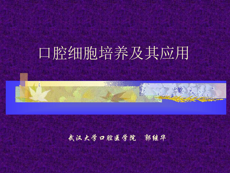 精选口腔细菌的培养及应用资料课件.ppt_第1页